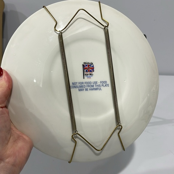 Weatherby Royal Falcon Pansy Floral Plate Made In England Decorative Use - Picture 5 of 12